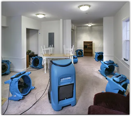 Water Mitigation Services in Bridgeport, PA